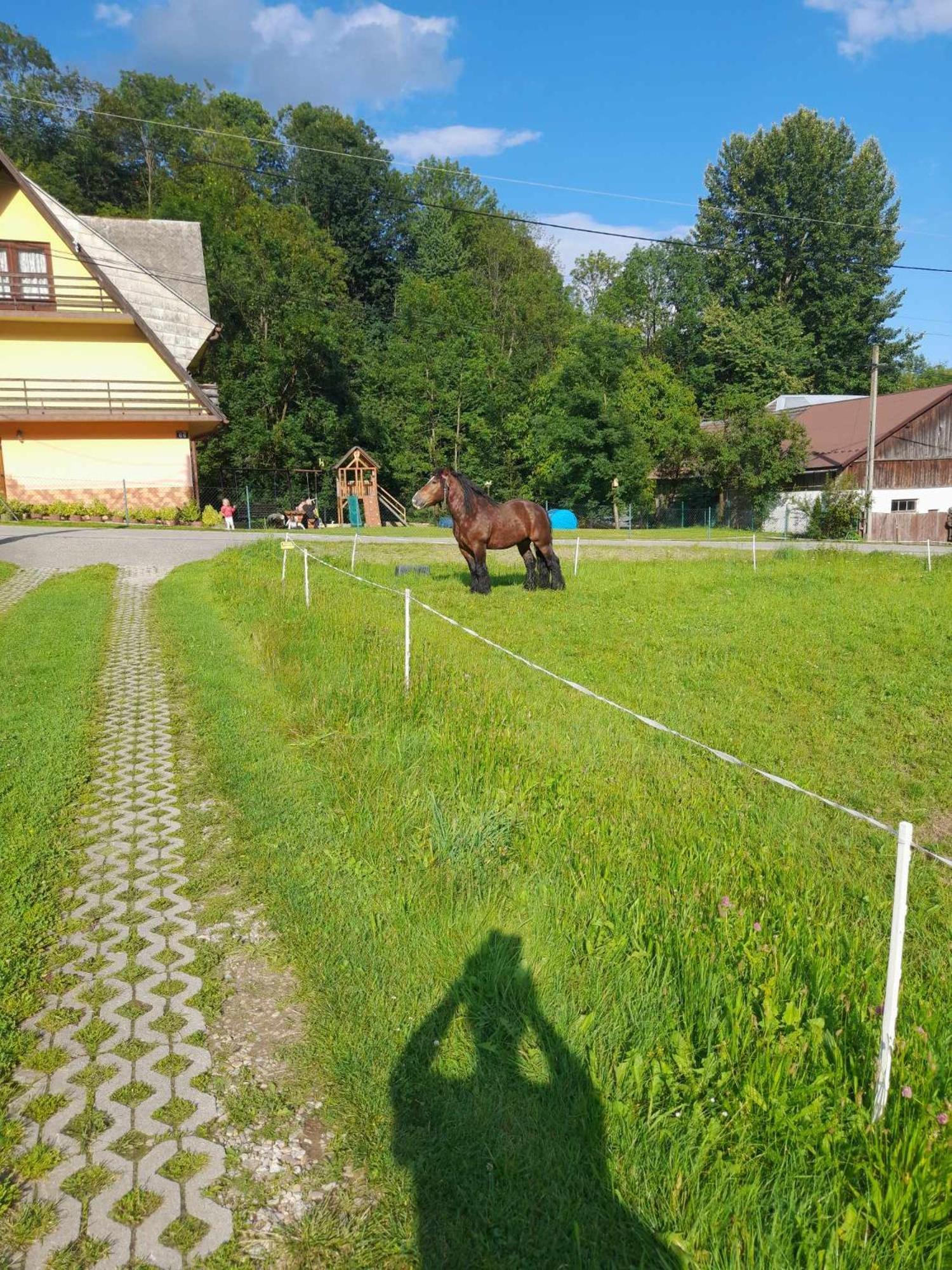 Apartmán Zakatek Pienin Grywald Exteriér fotografie